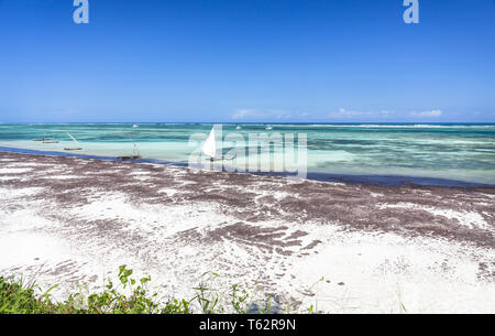 Erstaunlich Diani Beach Marine mit weißen Sand und dem türkisfarbenen Indischen Ozean, Kenia Stockfoto