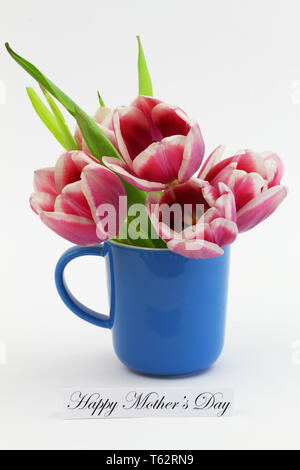 Glückliche Mütter Tag Karte mit drei bunte Tulpen in Blau Becher auf weißem Hintergrund Stockfoto