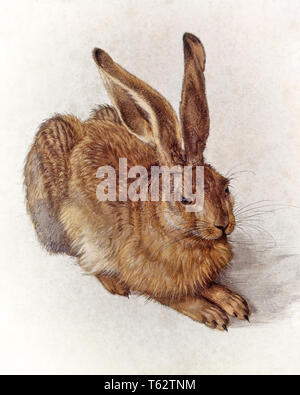 1500 s DETAILLIERTE AQUARELL ODER KÖRPER FARBE JUNGER HASE ALBRECHT DURER 1502 - ka 1511 HAR 001 HARS ALTMODISCH Stockfoto