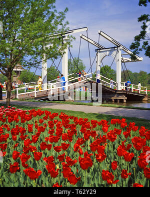 1970 FUSSGÄNGERZONE ZUGBRÜCKE rote Tulpen ERINNERN AN JENE IN DEN NIEDERLANDEN DIESES AUF WINDMILL ISLAND HOLLAND MICHIGAN USA-kr 34368 VRE 001 HARS ALTMODISCH Stockfoto