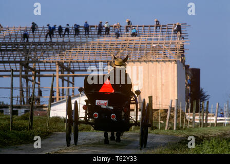 AMISH WAGEN NÄHERT SICH EINE SCHEUNE, Lancaster County PENNSYLVANIA USA-kr 51561 RWN 001 HARS TRANSPORT LANDWIRTSCHAFT FREIHEIT RELIGIÖSEN SELTSAME LANCASTER ANDERE KULTUR religiöse Sekte AUSSEN PA NORDOSTEN REISE USA BERUFE REGION MITTE - Atlantik COMMONWEALTH VERBINDUNG MITTE DER ATLANTISCHEN REGION OSTKÜSTE KULTUR KEYSTONE STATE EBENE UNTERSTÜTZEN UNGEWÖHNLICHES WAGEN MID-ATLANTIC ZUSTAND NORMALE MENSCHEN EINFACHE LEBEN SCHEUNE ANHEBEN COMMONWEALTHS ZUSAMMENARBEIT PENNSYLVANIA DUTCH SEKTE ZWEISAMKEIT WAGEN NÄHERT SICH ALTMODISCH Stockfoto