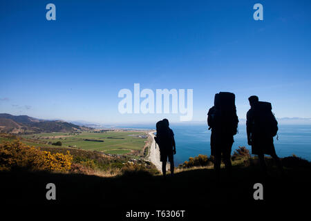 Wanderer über dem Glen, Nelson, Neuseeland Stockfoto