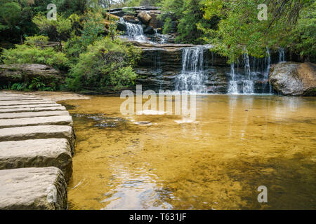 Wasserfall auf der Spencer Court gehen, Blue Mountains National Park, New South Wales, Australien Stockfoto