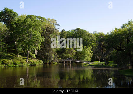 See in Middleton Place National Historic Landmark in der Nähe von Charleston in South Carolina, USA. Stockfoto