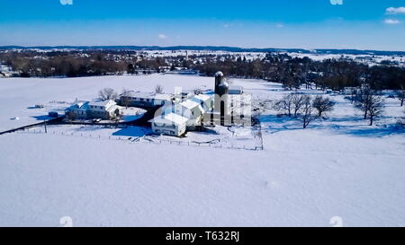 Snowy Morgen in Amish Ackerland Stockfoto