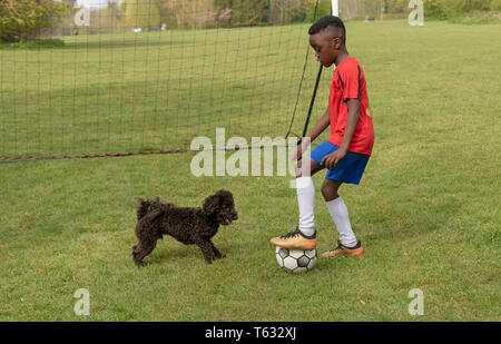 Hampshire, England, UK. April 2019. Ein junger Fußballspieler verteidigen das Ziel während eines Training Session mit seinem Hund in einem öffentlichen Park. Stockfoto