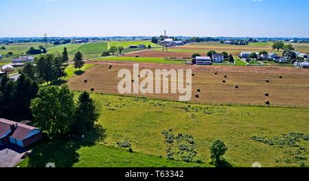 Luftaufnahme von Amish Landwirten geerntet im Sommer Stockfoto