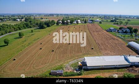 Luftaufnahme von Amish Landwirten geerntet im Sommer Stockfoto