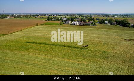 Luftaufnahme von Amish Landwirten geerntet im Sommer Stockfoto