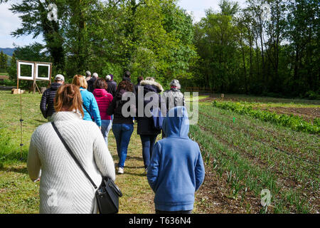 Organic Farm, Chomerac, Ardèche, Frankreich Stockfoto