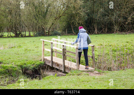 Frau Wandern in der Natur über einen Holzsteg Überquerung eines Streams in Ackerland England Großbritannien Stockfoto