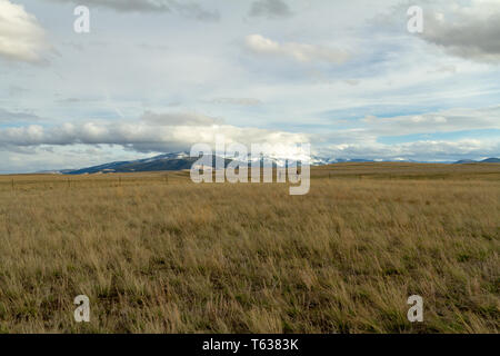 Helena Valley Wiese mit den Elkhorn Berge in der Ferne, Frühling, Montana, Northern Rockies, USA Stockfoto