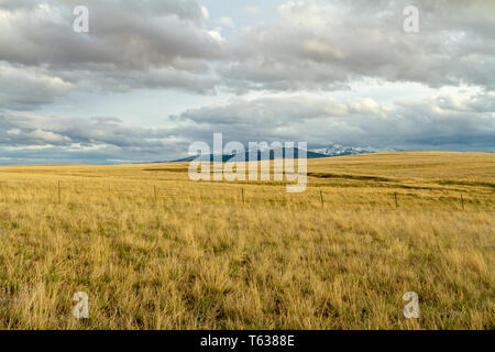 Helena Valley Wiese mit den Elkhorn Berge in der Ferne, Frühling, Montana, Northern Rockies, USA Stockfoto