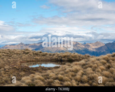 Alpine Tarn, in tussock Land oberhalb der Waldgrenze, Blick auf die Berge in der Ferne, Mt Verbrennungen, Fiordland National Park, Southland, Neuseeland Stockfoto