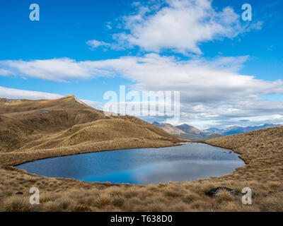 Alpine Tarn, in tussock Land, oberhalb der Baumgrenze, Blick auf die Berge in der Ferne, Mt Verbrennungen, Fiordland National Park, Southland, Neuseeland Stockfoto