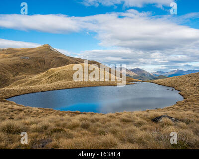 Alpine Tarn, in tussock Land, oberhalb der Baumgrenze, Blick auf die Berge in der Ferne, Mt Verbrennungen, Fiordland National Park, Southland, Neuseeland Stockfoto