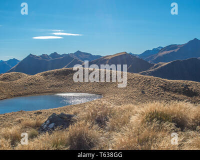 Alpine Tarn, in tussock Land, oberhalb der Baumgrenze, Blick auf die Berge in der Ferne, Mt Verbrennungen, Fiordland National Park, Southland, Neuseeland Stockfoto