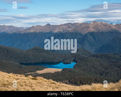 Island Lake, in Buchenwald, Grebe Valley, Fiordland National Park, Southland, Neuseeland Stockfoto