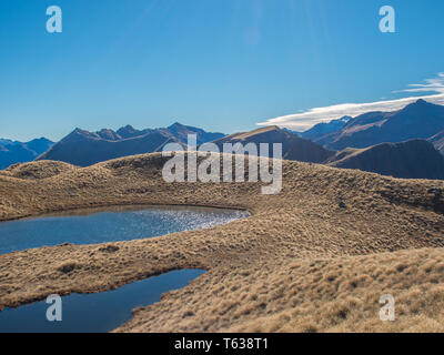 Alpinen Bergseen, in tussock Land, oberhalb der Baumgrenze, Blick auf die Berge in der Ferne, Mt Verbrennungen, Fiordland National Park, Southland, Neuseeland Stockfoto