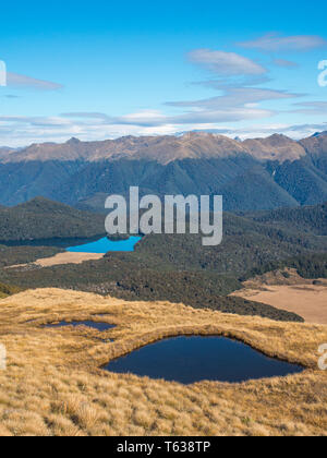 Alpine Gebirgsseen in tussock Land, Insel See in Buchenwald, die Berge in der Ferne, ein sonniger Herbsttag, Fiordland National Park, Southland, Neuseeland Stockfoto