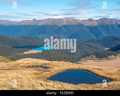 Alpine Gebirgsseen in tussock Land, Insel See in Buchenwald, die Berge in der Ferne, ein sonniger Herbsttag, Fiordland National Park, Southland, Neuseeland Stockfoto