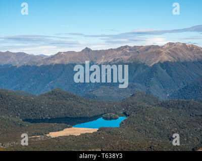 Island Lake, in Buchenwald, Grebe Valley, Fiordland National Park, Southland, Neuseeland Stockfoto