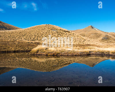 Oberhalb der Baumgrenze, tussock Land Reflexion in Tarn, Mt Verbrennungen, Fiordland National Park, Southland, Neuseeland Stockfoto