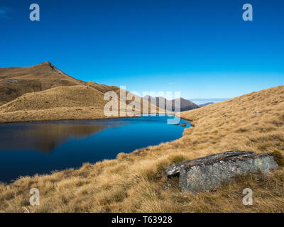 Alpine Tarn, in tussock Land, oberhalb der Baumgrenze, Blick auf die Berge in der Ferne, Mt Verbrennungen, Fiordland National Park, Southland, Neuseeland Stockfoto