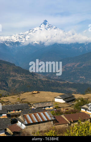 Dhampus ist berühmt Trekking in Nepal. Nahaufnahme Blick auf Mount Machhapuchhre, Fishtail Berg. Stockfoto