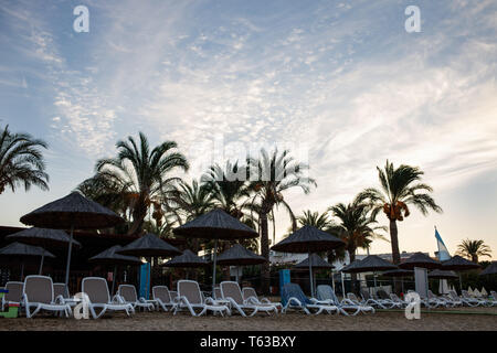 Viele Liegestühle am Sandstrand in Sunrise. Stockfoto