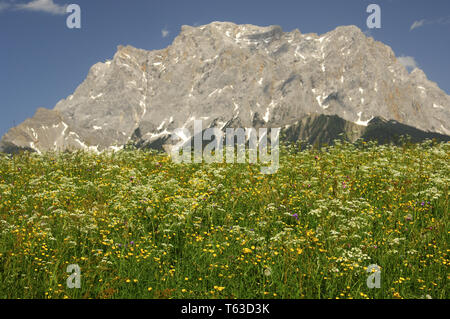 Auf der Zugspitze, dem höchsten Berg in Deutschland Stockfoto