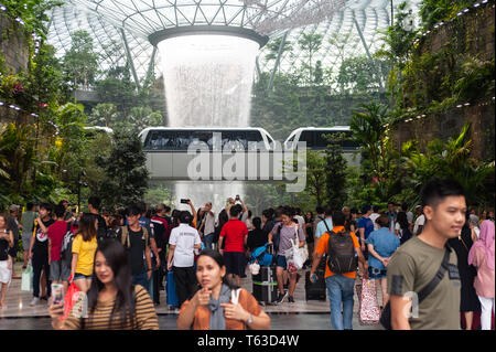 28.04.2019, Singapur, Republik Singapur, Asien - Innenansicht des neuen Juwel Terminal am Flughafen Changi mit Wasserfall und Wald Tal. Stockfoto