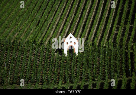 Kapelle im Weinberg, Piesport, Mosel, Deutschland Stockfoto