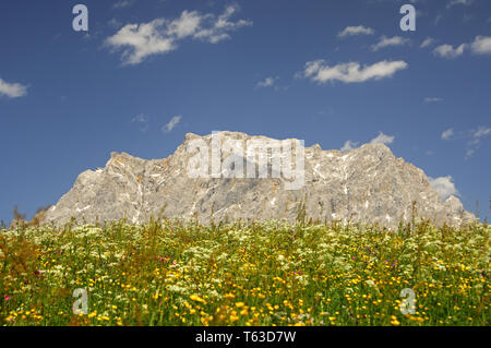 Auf der Zugspitze, dem höchsten Berg in Deutschland Stockfoto