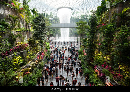 28.04.2019, Singapur, Republik Singapur, Asien - Innenansicht des neuen Juwel Terminal am Flughafen Changi mit Wasserfall und Wald Tal. Stockfoto