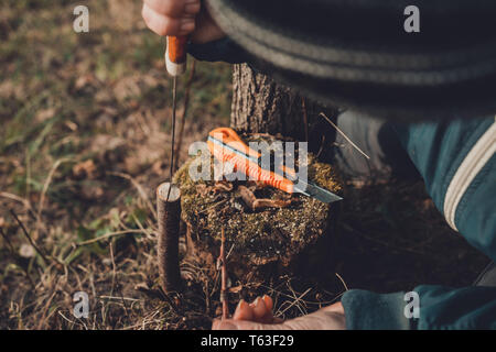 Eine Frau schneidet einen jungen Baum mit einem Messer für die Beimpfung der Obst Zweig 2019 Stockfoto