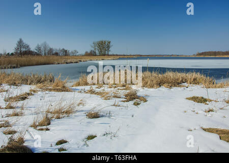 Trockenes Gras und Schnee am Rande eines zugefrorenen See. Bäume am Horizont und blauer Himmel - Winter sonniger Tag Stockfoto