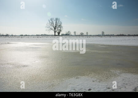 Gefrorenes Wasser und Schnee auf der Wiese, einsamer Baum am Horizont und wolkenlosen Himmel - Ansicht im sonnigen Wintertag Stockfoto