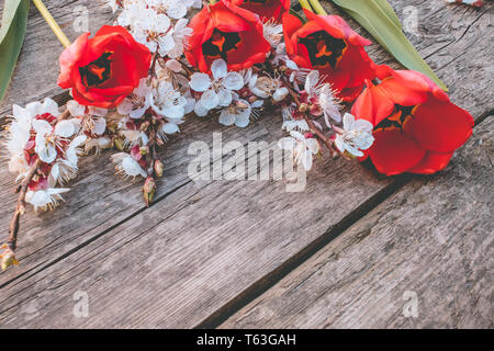Ein Bouquet von roten Tulpen und Zweige von weißen Blumen auf den alten Brettern. Für Text platzieren. Das Konzept der Frühling ist gekommen. Blick von oben. Banner Ma Stockfoto