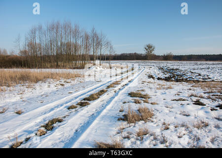 Schneebedeckte Landstraße durch die Felder. Niederwald und blauer Himmel - sonnigen Wintertag Stockfoto