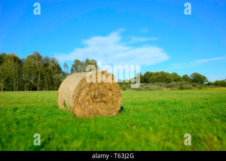 Eine Heu Ballen liegend auf einer grünen Wiese, Wald und Weiße Wolke am blauen Himmel - blurry und kontrastierenden Farben Stockfoto