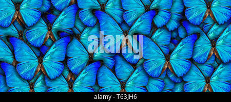 Schönen natürlichen Hintergrund mit viel vibrant blue Schmetterlingen. Photo Collage Kunst arbeiten. Stockfoto