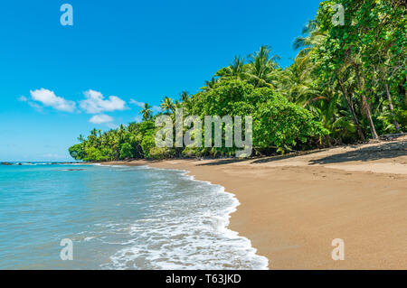 Eine Pacific Ocean Wave an einem tropischen Strand mit tropischem Regenwald im Nationalpark Corcovado, Halbinsel Osa, Costa Rica, Mittelamerika. Stockfoto