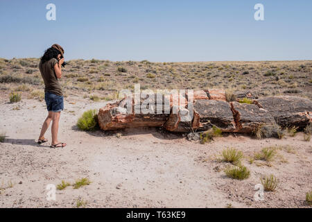 Weibliche Besucher fotografieren Petrified Forest Nationalpark in Arizona, USA Stockfoto