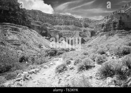 Schwarz-weiss Bild der gekennzeichneten Feldweg führt zu Indian Garden und den South Rim von Plateau Point im Grand Canyon National Park, Arizona, Stockfoto