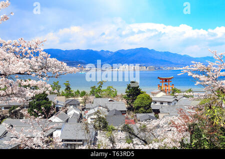 Luftaufnahme auf die berühmten schwimmenden Torii Tor, Itsukushima Schrein, der Insel Miyajima, Hiroshima, Japan. UNESCO-Weltkulturerbe. Fokus auf Sakura Blumen Stockfoto