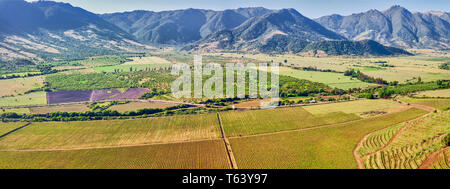 Panorama des Colchagua Weinbergen im Central Valley Weinbaugebiet von Chile. Stockfoto