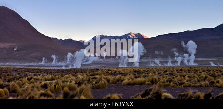 Sie haben am Tag Pause der Dampf aus den heißen Quellen der El Tatio Geysir Feld in der chilenischen Atacama Wüste hoch zu schätzen. Stockfoto