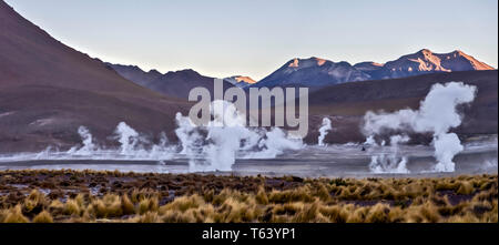 Sie haben am Tag Pause der Dampf aus den heißen Quellen der El Tatio Geysir Feld in der chilenischen Atacama Wüste hoch zu schätzen. Stockfoto