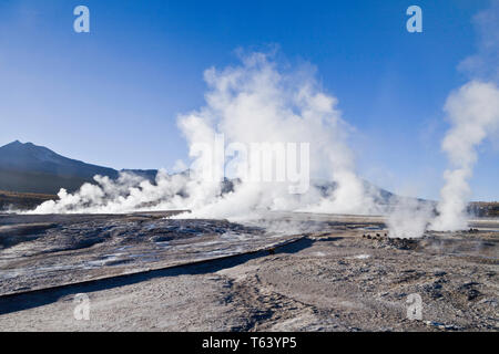 Sie haben am Tag Pause der Dampf aus den heißen Quellen der El Tatio Geysir Feld in der chilenischen Atacama Wüste hoch zu schätzen. Stockfoto